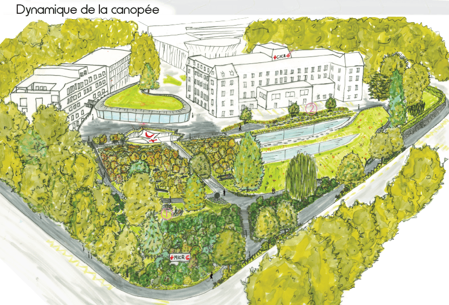 A colored aerial view of a landscaping project showing buildings surrounded by gardens, paths, lawns, and planted areas organized around a central park.