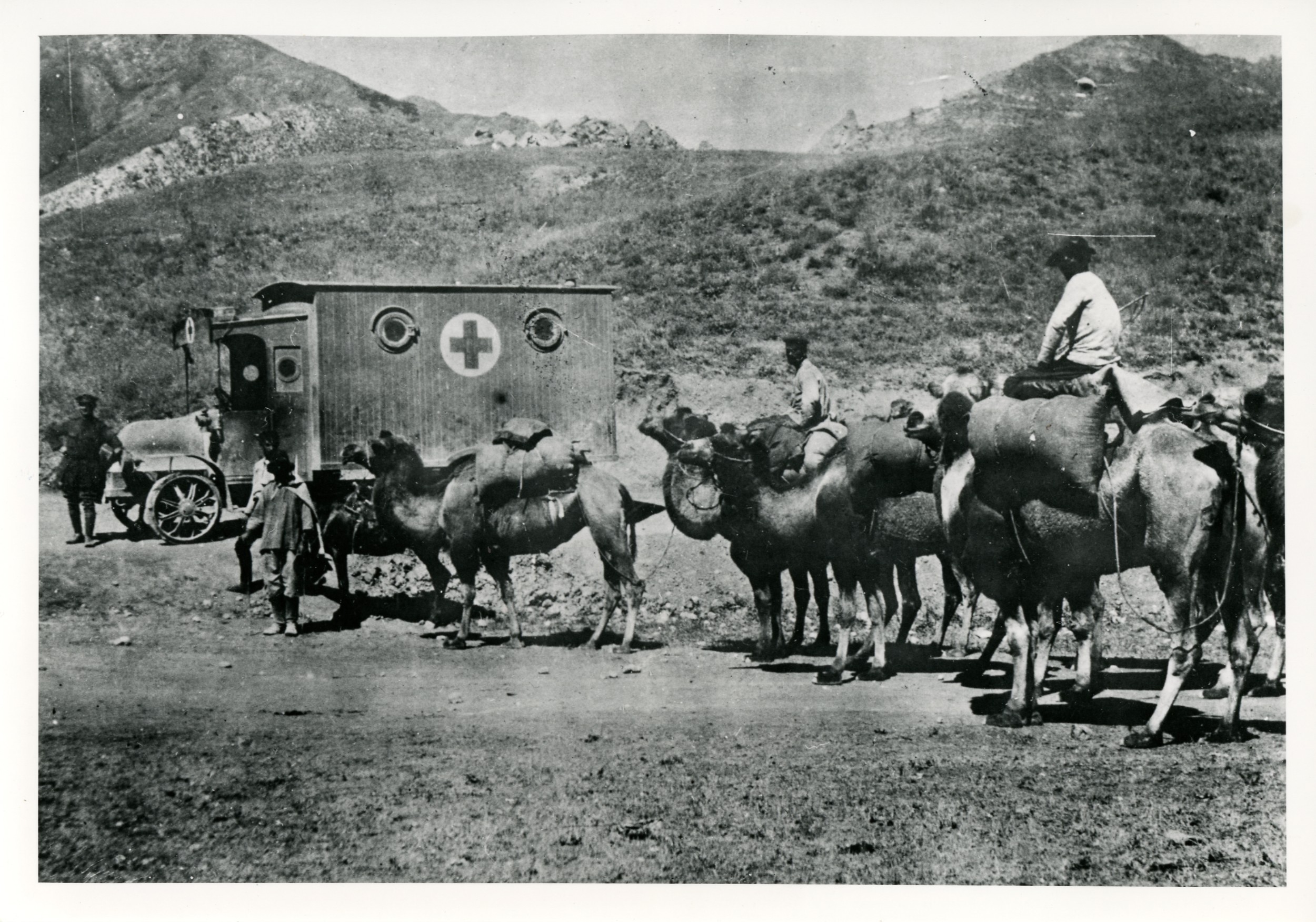 With Commander Locker